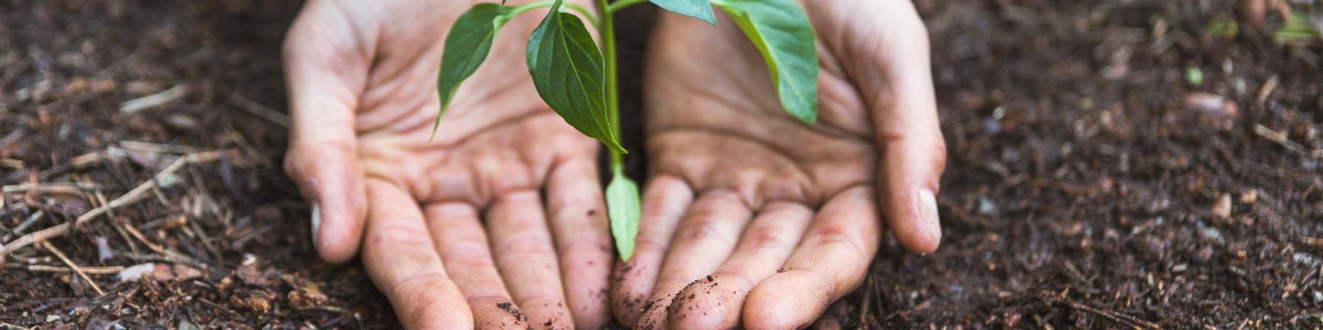 USDA Launches Phase 2 of Emergency Relief Wide Banner