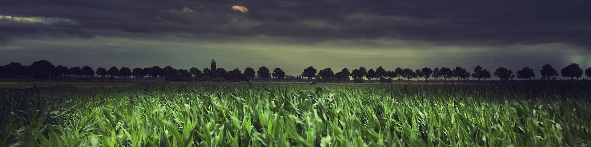 Congratulations to our Photo Contest winners! Wide Banner