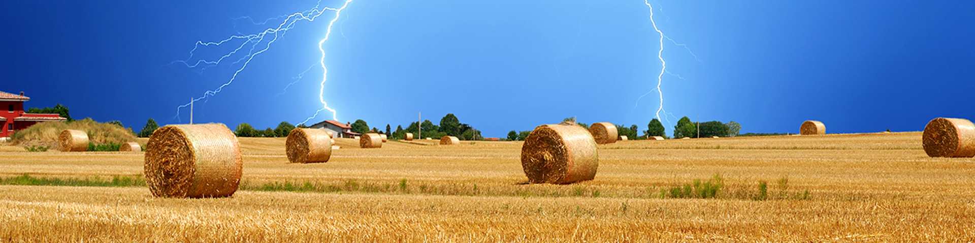 Enter Our Yearly Photography Contest! Wide Banner