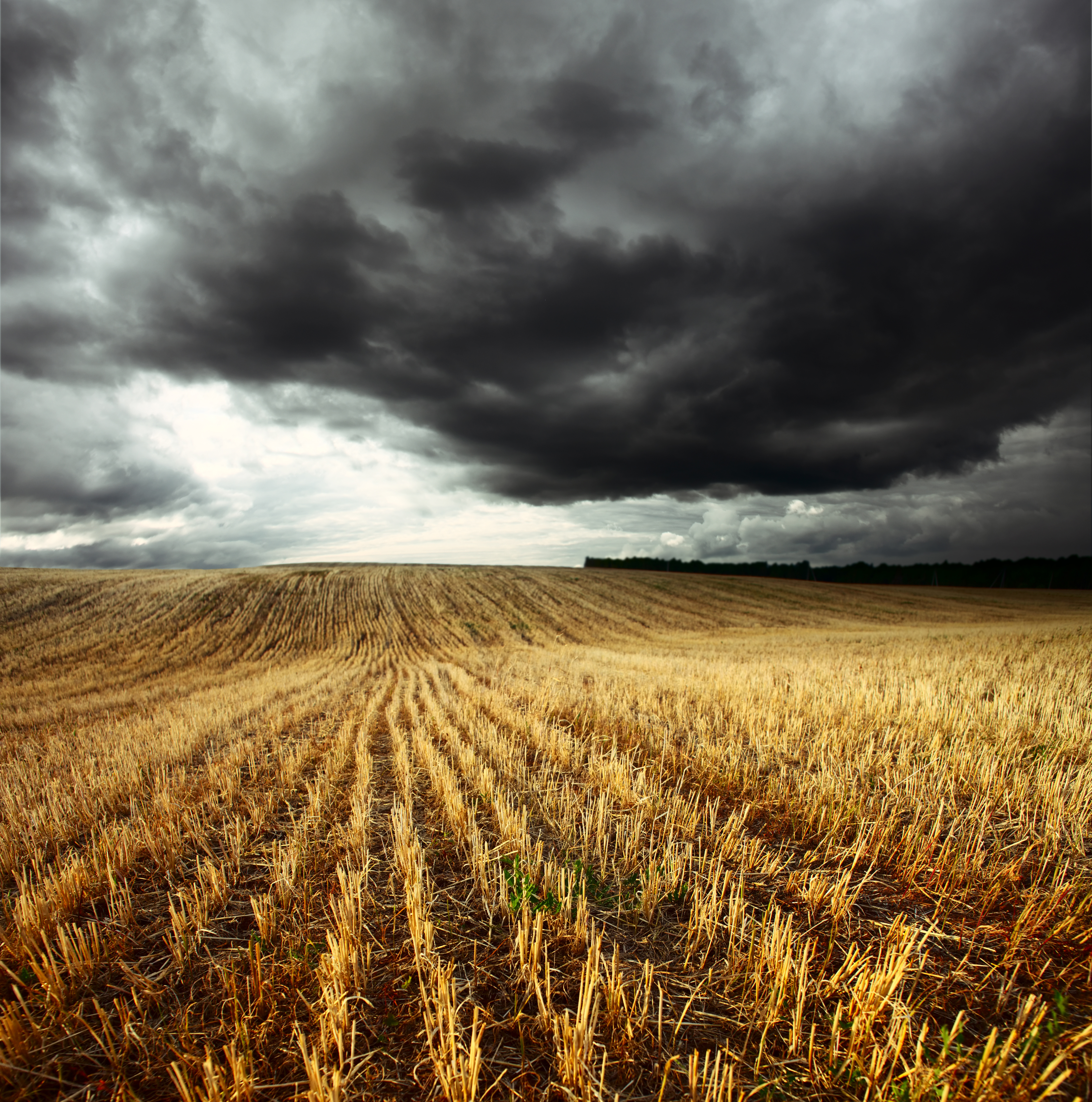 Emergency Relief - What Can Impacted Farmers Do?