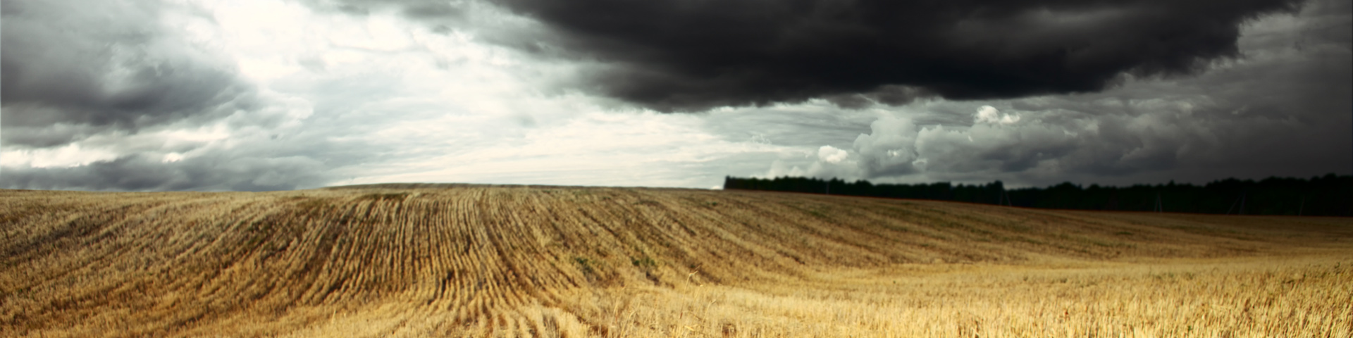 Emergency Relief - What Can Impacted Farmers Do? Wide Banner