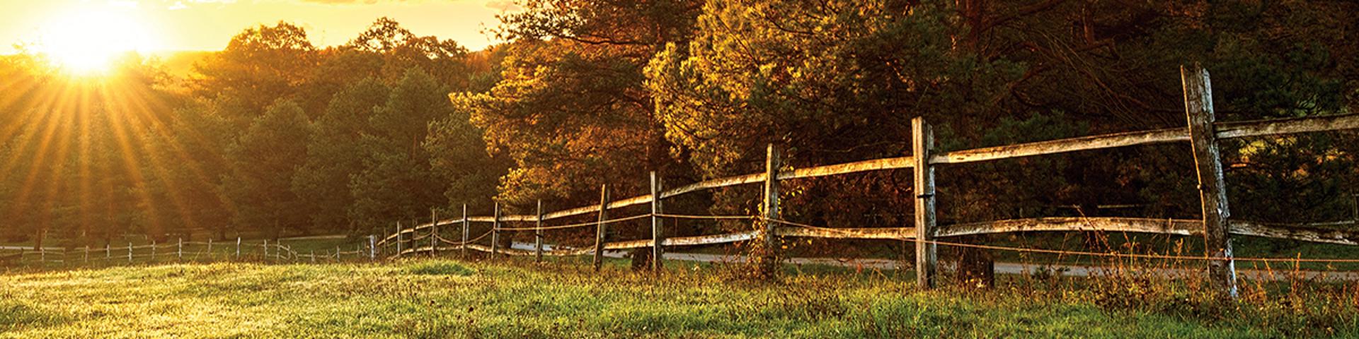 Banner Background