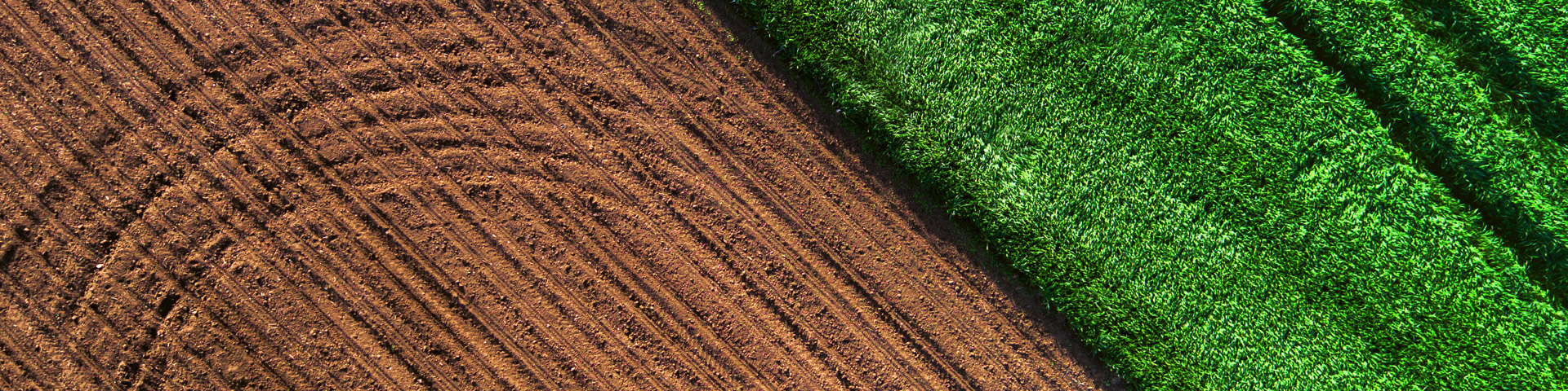 PRESS RELEASE: Changes to AgriSompo Leadership Wide Banner