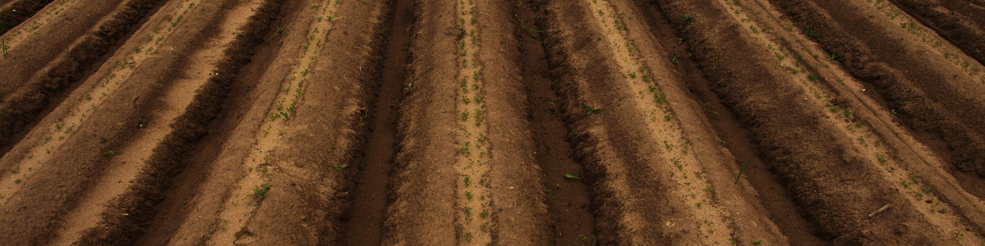 Who is AgriSompo? Wide Banner
