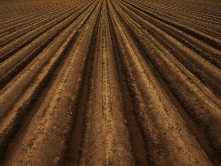 Who is AgriSompo? Square Banner