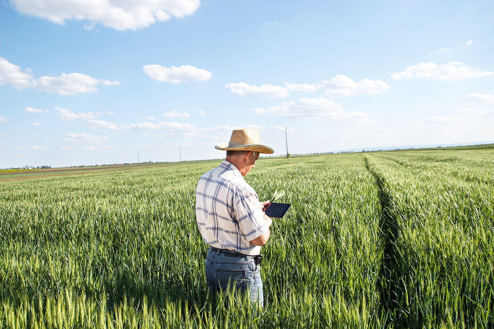 Farmers and insurers must constantly adapt to an ever-changing industry.