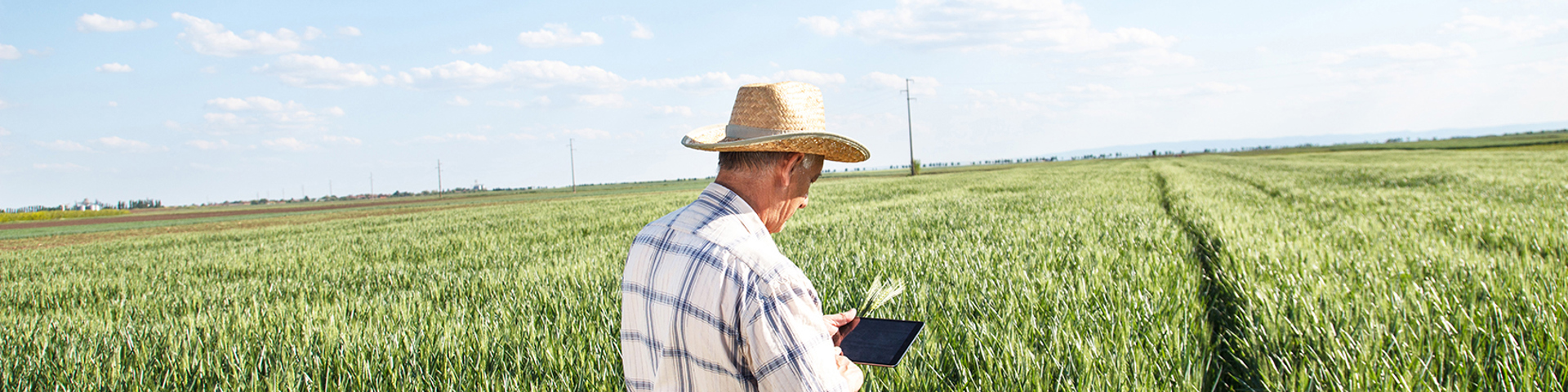 AgriSompo North America Retains A+ Credit Rating Wide Banner