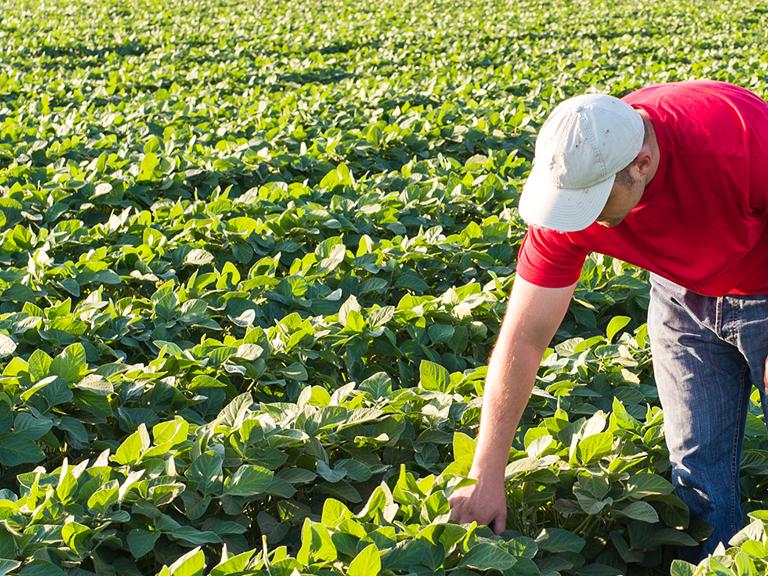 The Hill: A Bipartisan Push for Crop Insurance Square Banner