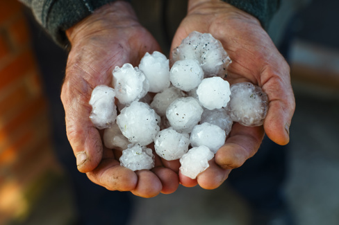 Crop Hail