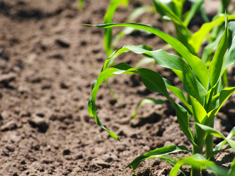 Announcing the 2022 Virtual Crop Tour Square Banner