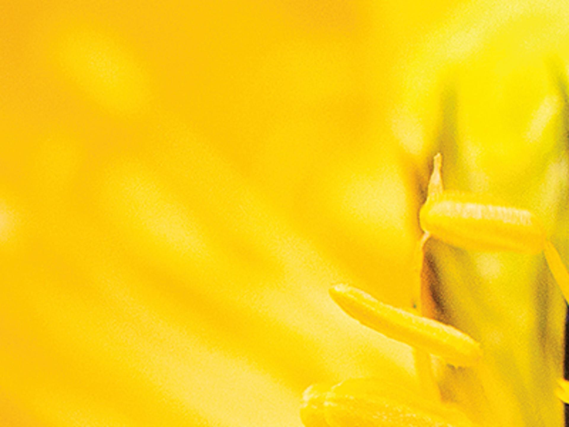 Banner Background