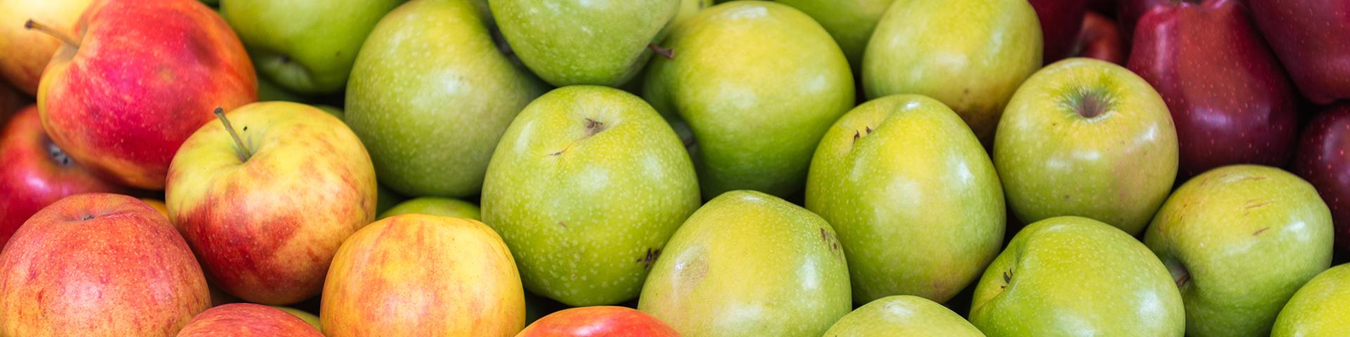 Food in America: Reflecting on National Food Day Wide Banner