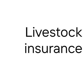 Episode 4, Livestock Insurance