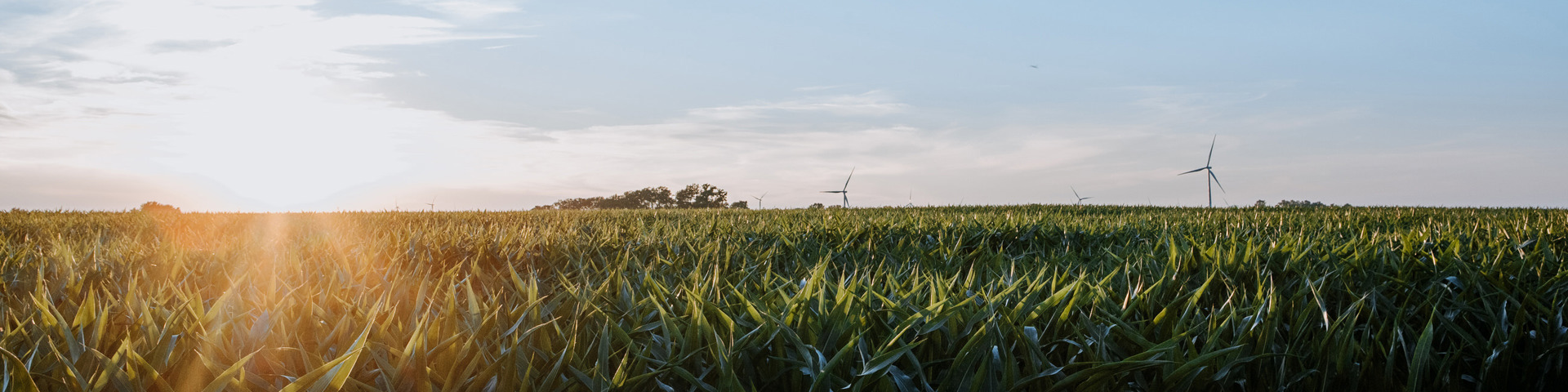 Ag market update: How MCO defends against rising input costs Wide Banner