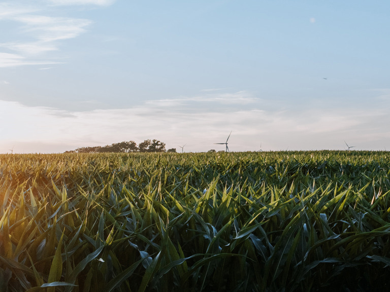 Ag market update: How MCO defends against rising input costs Square Banner
