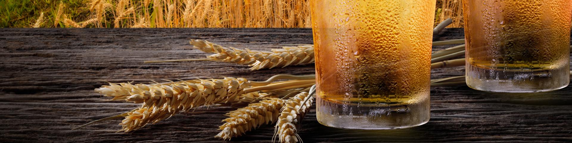 This Week, Celebrate America's Craft Beer! Wide Banner