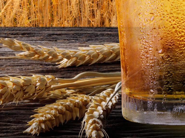 This Week, Celebrate America's Craft Beer! Square Banner