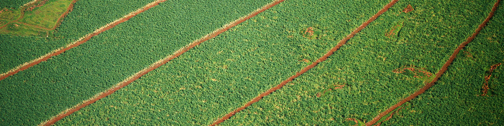 What Does "Sustainable" Mean to You? Wide Banner