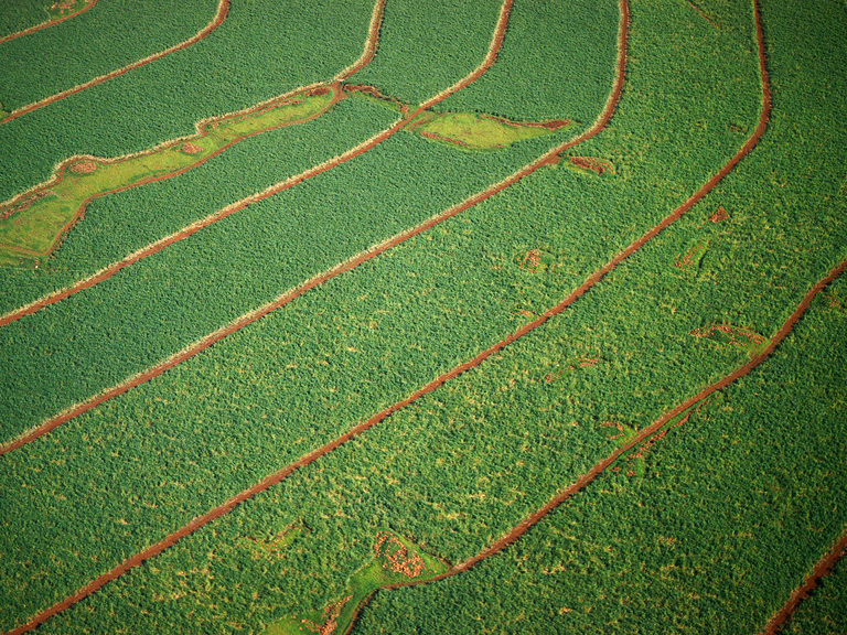 What Does "Sustainable" Mean to You? Square Banner