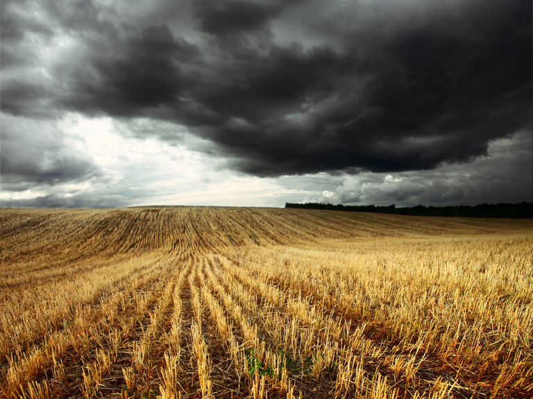 Emergency Relief Program – What Can Impacted Farmers Do Now? Square Banner