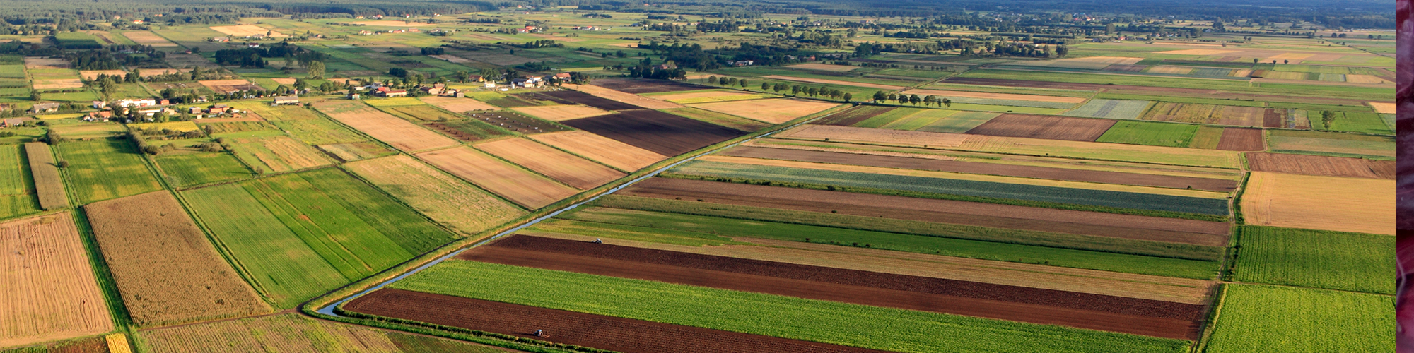 Insurance Awareness Day: What is Crop Insurance?