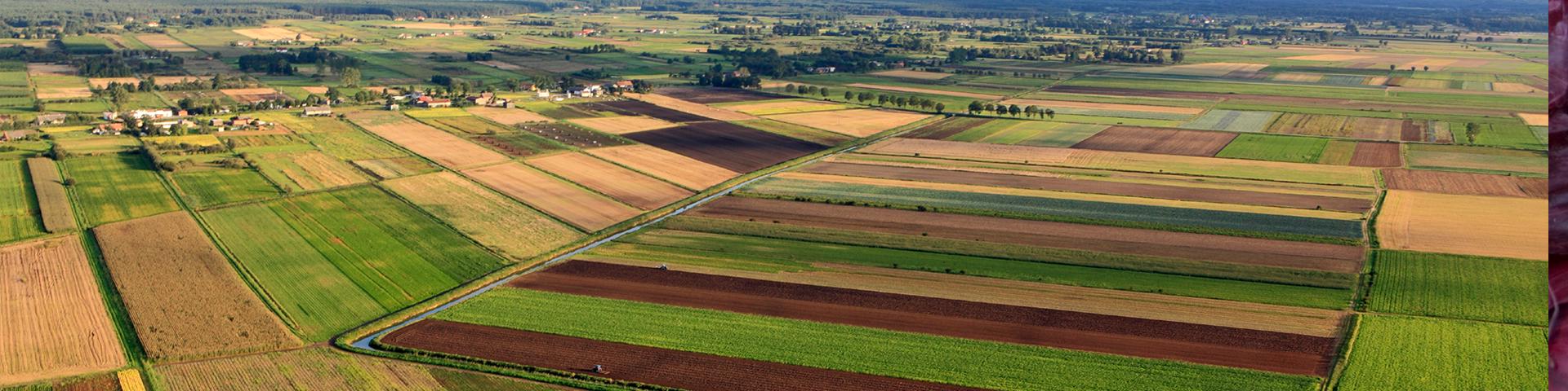 Insurance Awareness Day: What is Crop Insurance? Wide Banner
