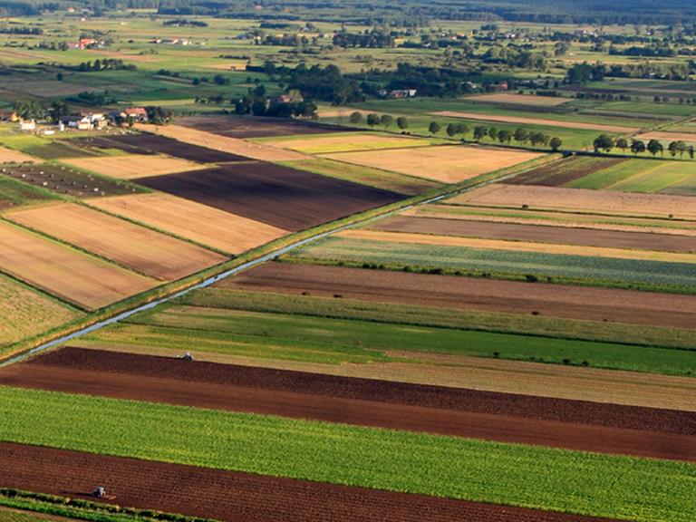Insurance Awareness Day: What is Crop Insurance? Square Banner