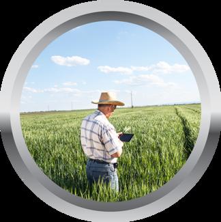 What Skills Will I Need?