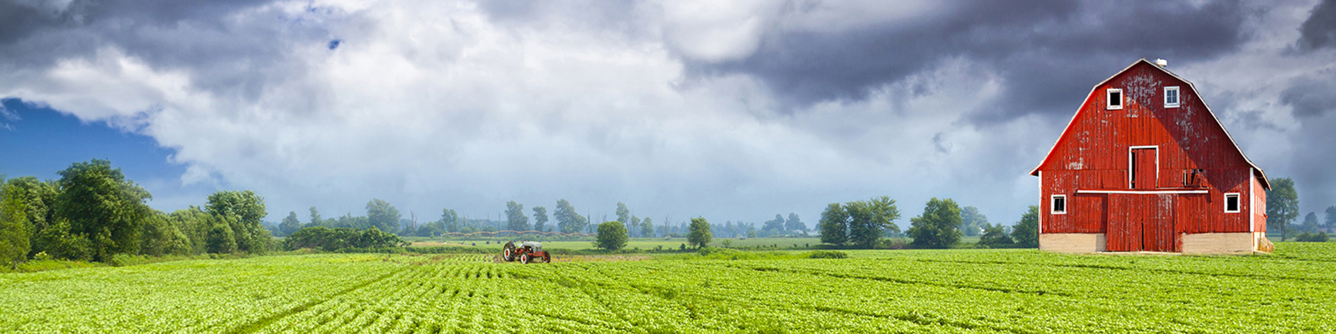 Want to learn more about crop insurance? Wide Banner