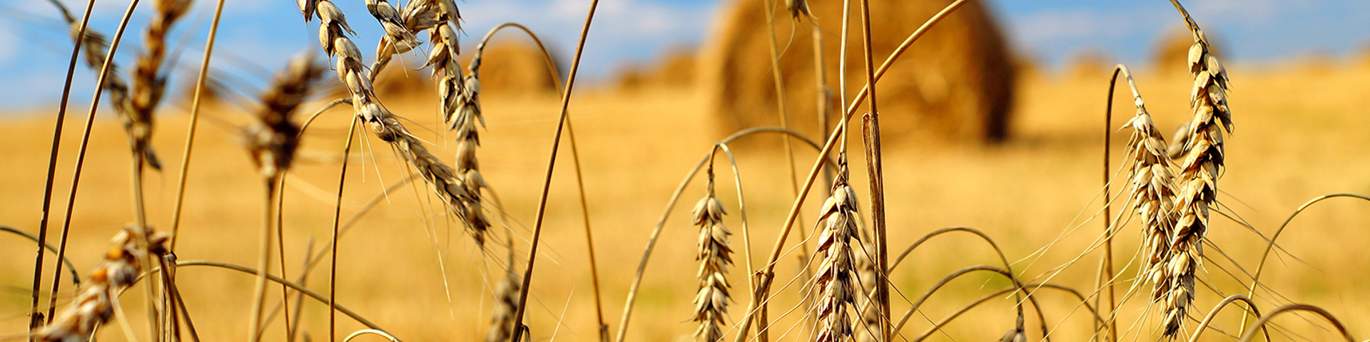 Learn to use AgriNet Quoting Wide Banner